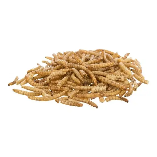 Gyors szállítás Trixie Jutalomfalat Rágcsálóknak, Szárított Lisztkukac, 200g