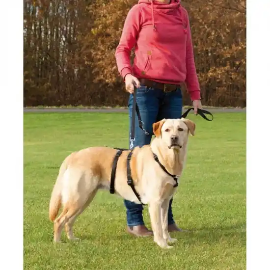 Trixie Hám visszatartó M-L 50-75cm/20mm fekete Népszerű