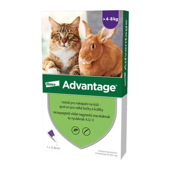 Advantage rácsepegteto oldat nagytestu macskáknak és nyulaknak AUV 1 x 0,8 ml Azonnali szállítás