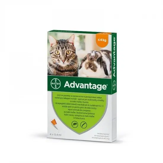 Advantage rácsepegteto oldat kistestu macskáknak és nyulaknak AUV 4 x 0,4 ml Népszerű