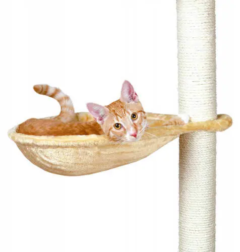 Legkelendőbb Trixie kaparó ülőke 40 cm