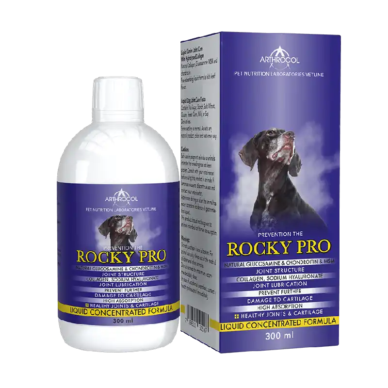 Árengedmény Arthrocol Rocky Pro 300ml