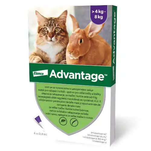 Expressz kézbesítés Advantage Spot-on Cat 0,8 ml (4 kg-tól)