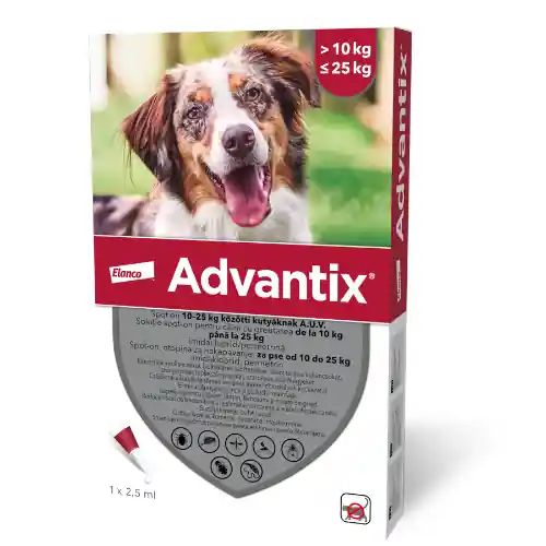 Olcsó Advantix spot on 2,5 ml 10-25 kg
