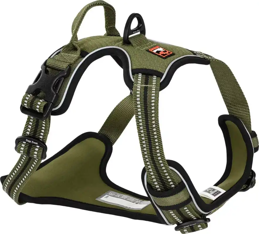 Ajánlat Dogs Creek Pathfinder hám zöld XL