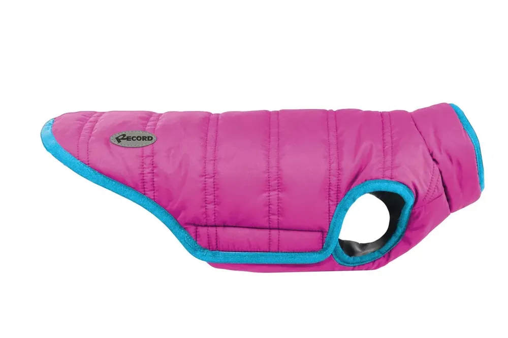 Record Sun kutyakabát pink-kék XL Expressz kézbesítés