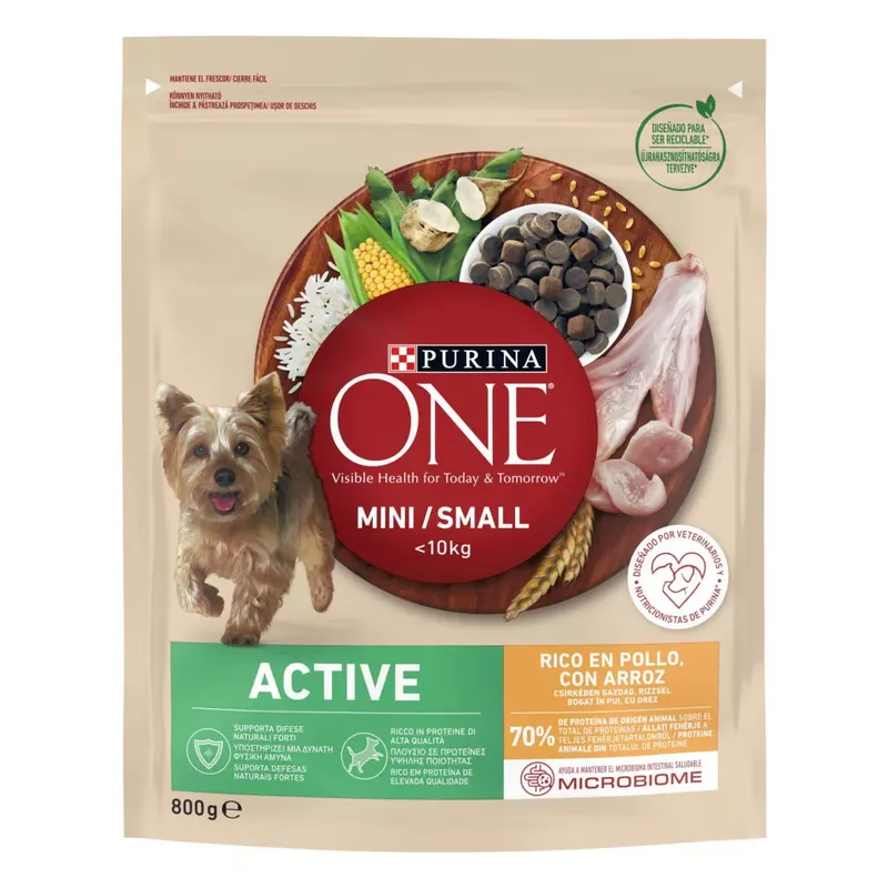 Azonnal elérhető Purina ONE Mini Active száraz kutyaeledel adult csirke 800g