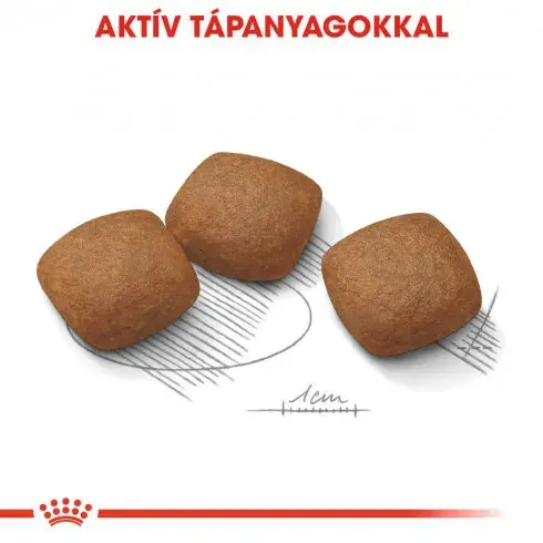 Szuper ajánlat Royal Canin Maxi Joint Care 10kg - száraz táp