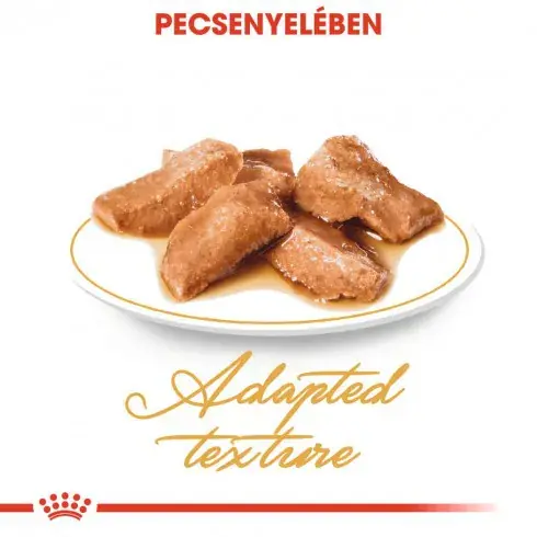 Ajánlat Royal Canin Maine Coon Adult 12x85g - Maine Coon felnőtt macska nedves táp