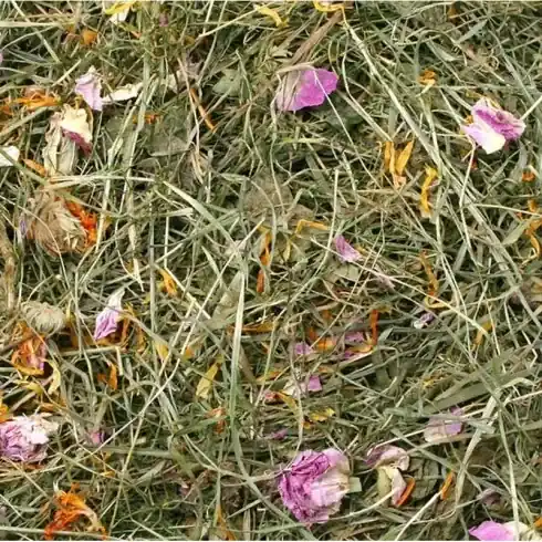 Biztonságos fizetés JR Farm Széna nyári mező 500g