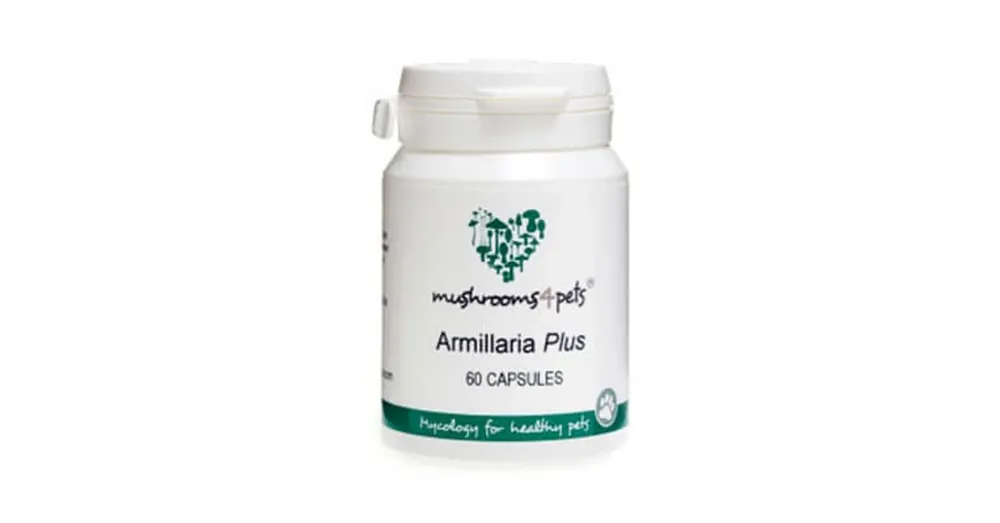 Ajánlat Armillaria Plus (500 mg) 60 db