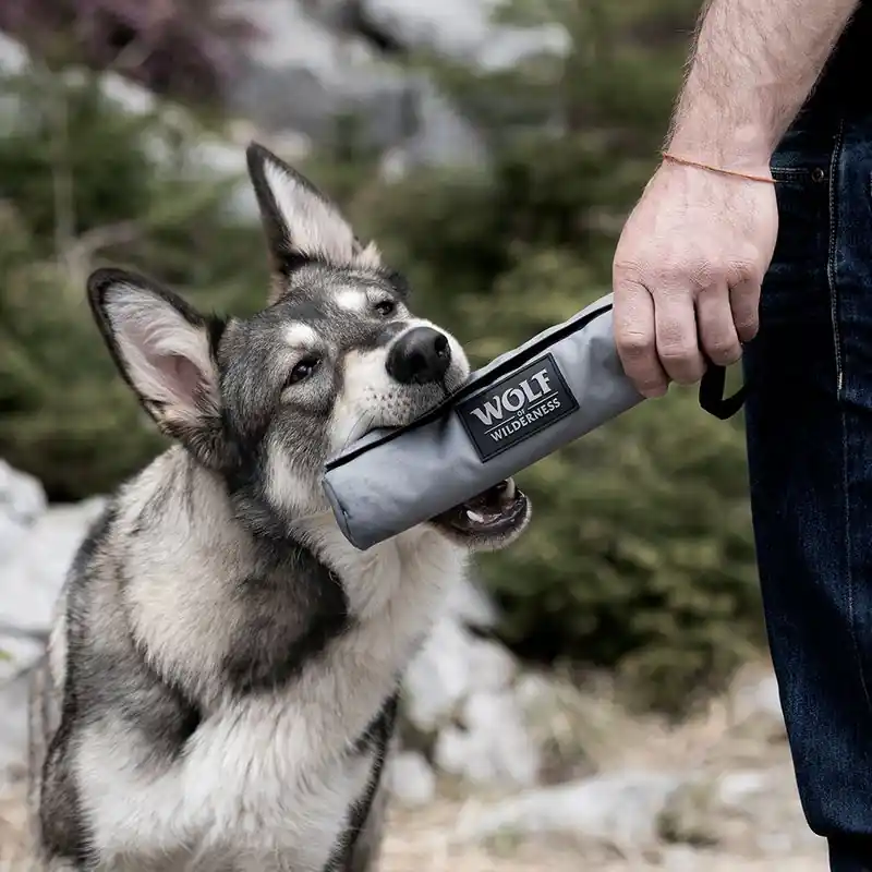 Akciós ár Wolf of Wilderness dummy tréninghez kézi fogantyúval