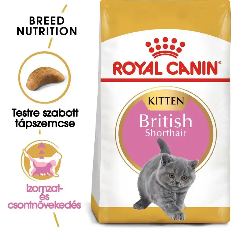 Legnépszerűbb Royal Canin British Shorthair Kitten