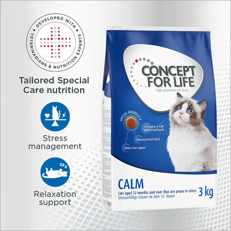 Concept for Life Calm Legnépszerűbb