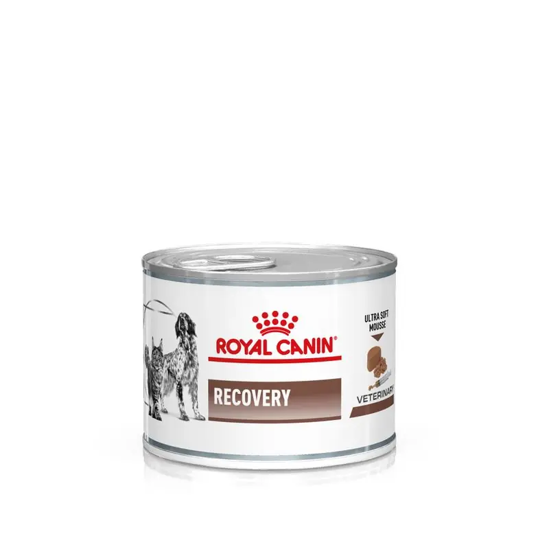Gyors szállítás Royal Canin Veterinary Feline Ultra Soft Mousse