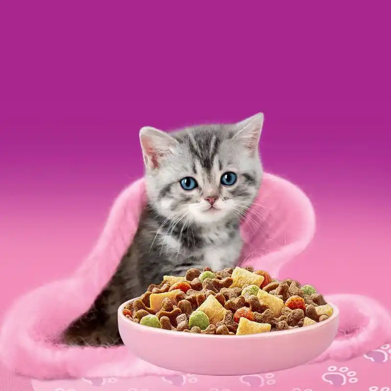 Whiskas Junior csirke Ne maradj le