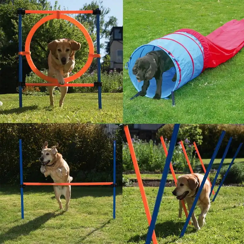 Szuper akció Agility Fun & Sport, komplett ügyességi csomag