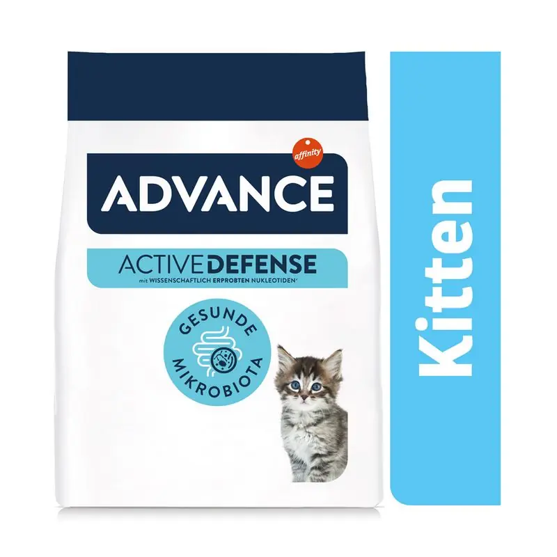 Kihagyhatatlan ajánlat Advance Kitten