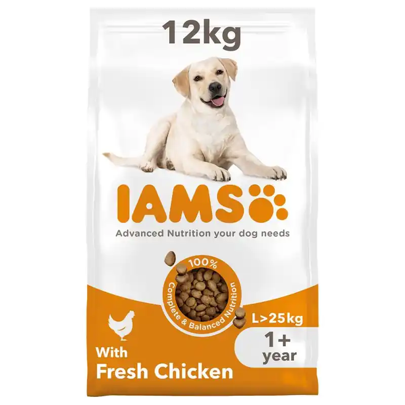 IAMS Advanced Nutrition Adult Large Dog csirke Vásárlói kedvenc