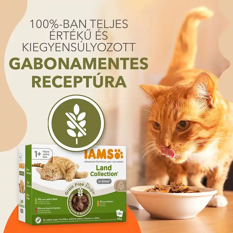 IAMS Advanced Nutrition Grain Free Land Collection szószban Bestseller