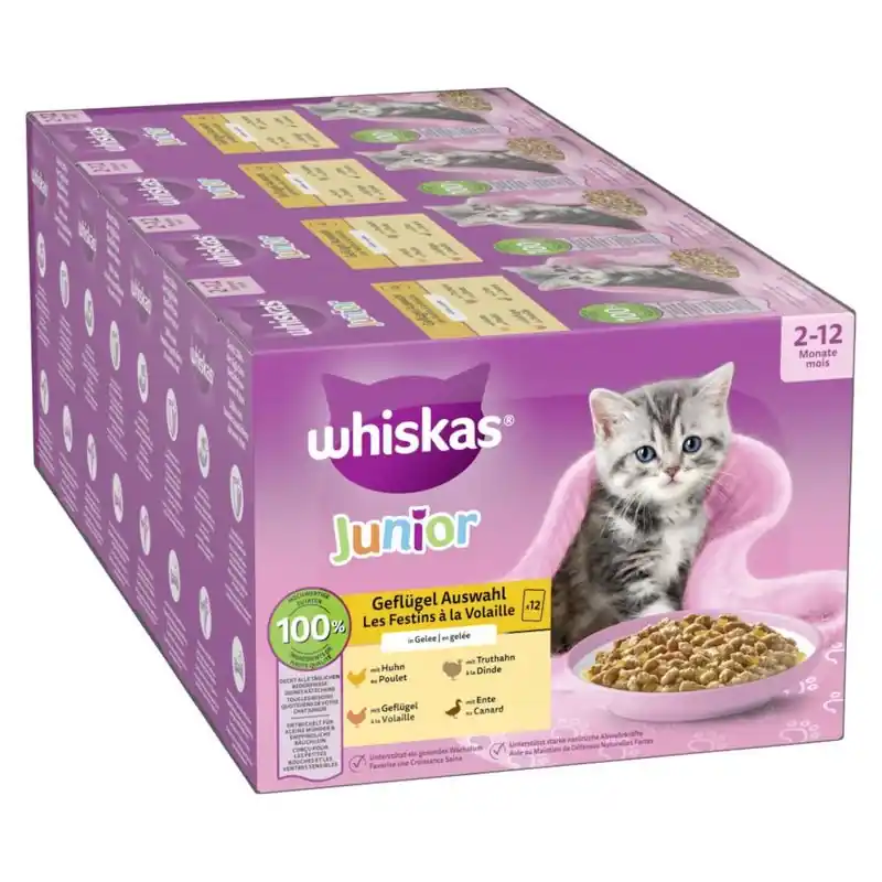 Whiskas Junior tasakos 48 x 85 g Utolsó esély