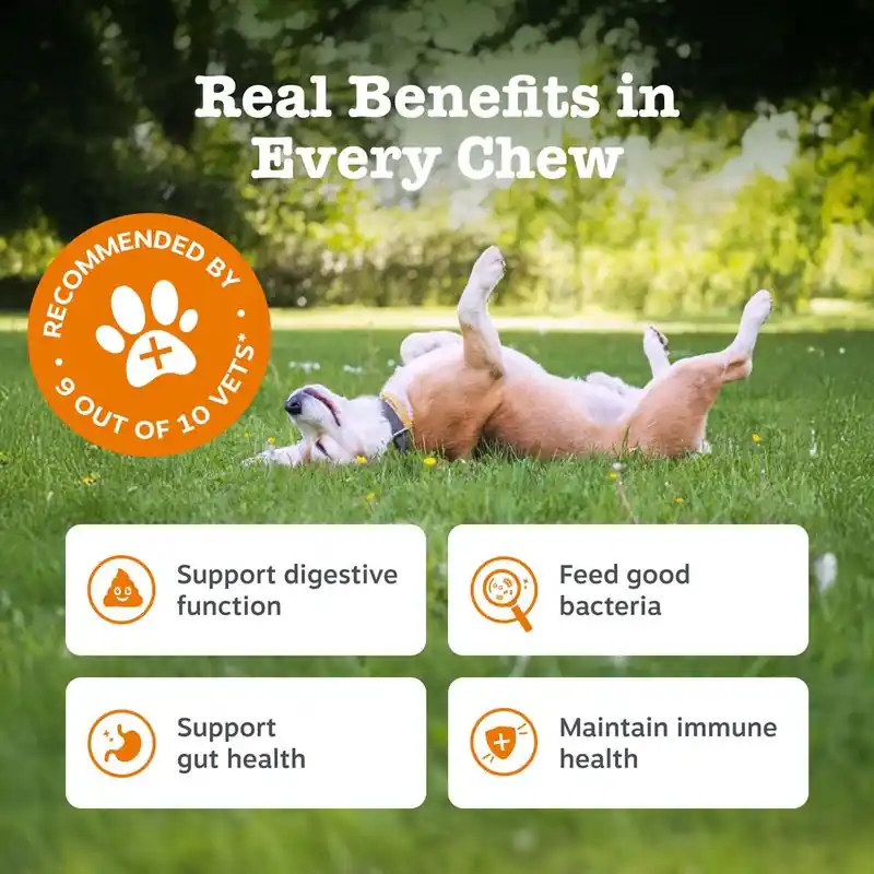 Zesty Paws Probiotic Chews sütőtök Árengedmény
