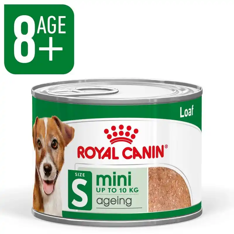 Ajánlat Royal Canin Mini Ageing Mousse