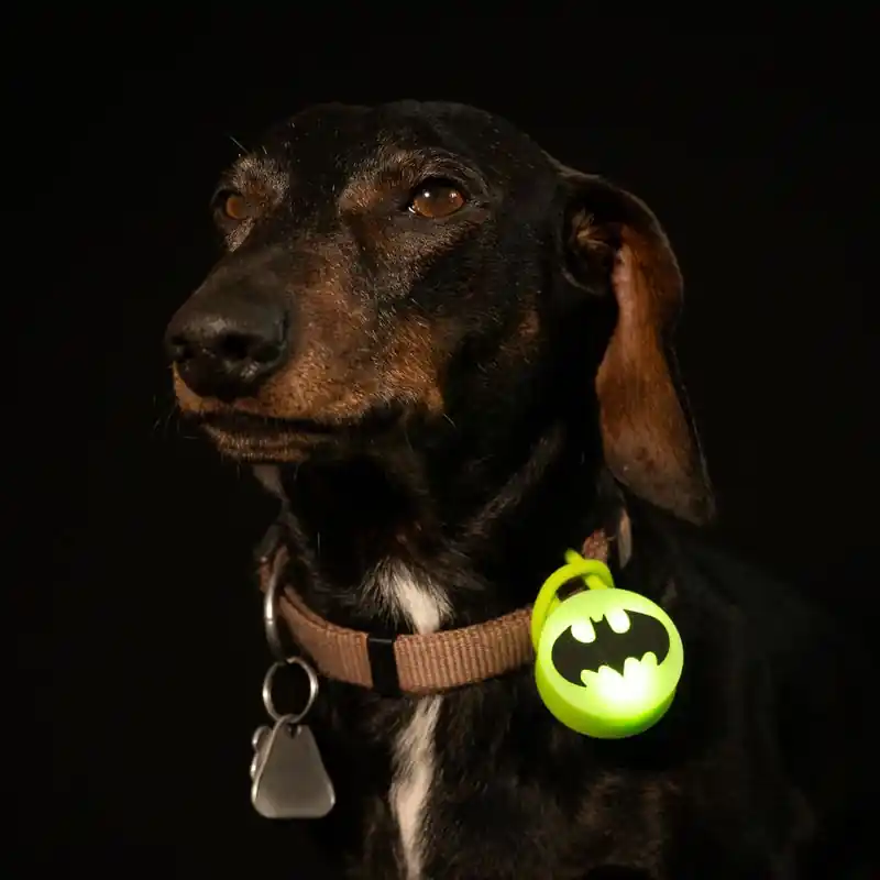 Szuper akció DC Batman nyakörv villogó