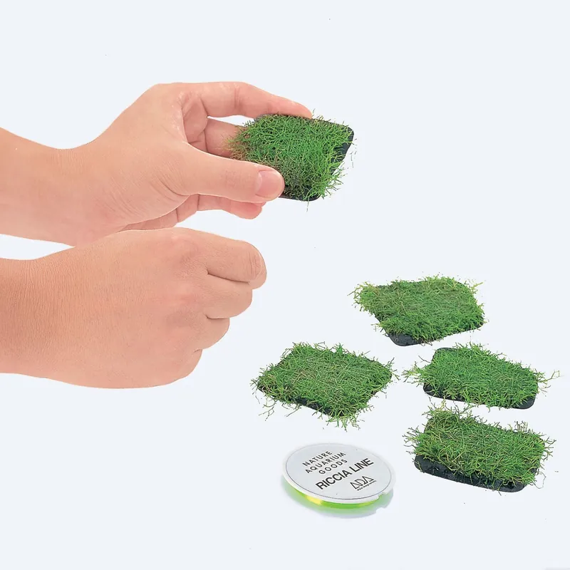ADA Riccia Stone - kötöző kő Nézd meg most