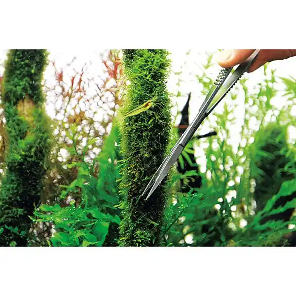 ADA Pro Scissors Spring - hajlított olló - 16 cm Alacsony ár