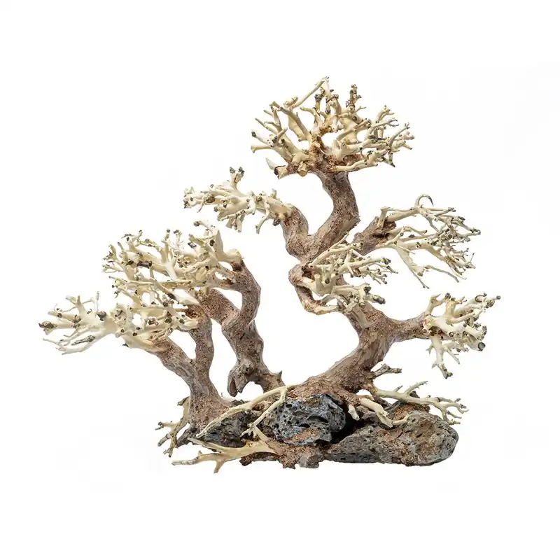 Bonsai fa Small Family - 25x20x10 cm Olcsóbb