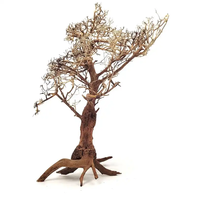 Wio Tree fa XL Alacsony ár