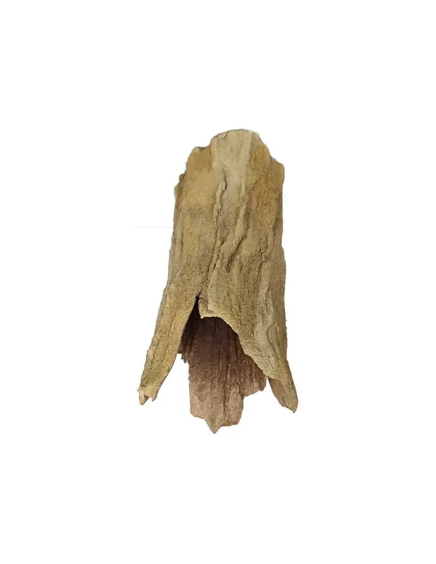 Álló fatörzs kerámia dekoráció akváriumba, terráriumba (16x7cm) Prémium
