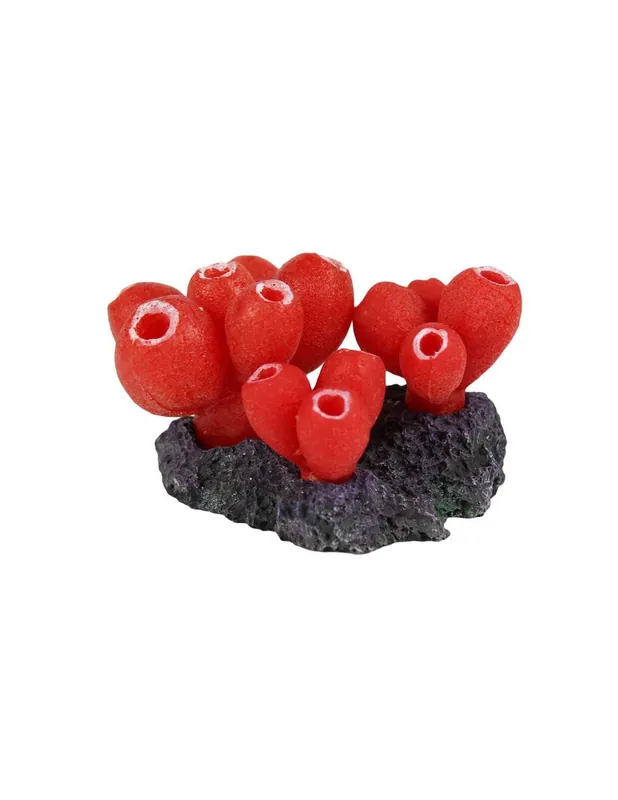 Vedd meg most KORALL akvárium dekoráció - SH9019SB Natural Color (10x6x5cm)