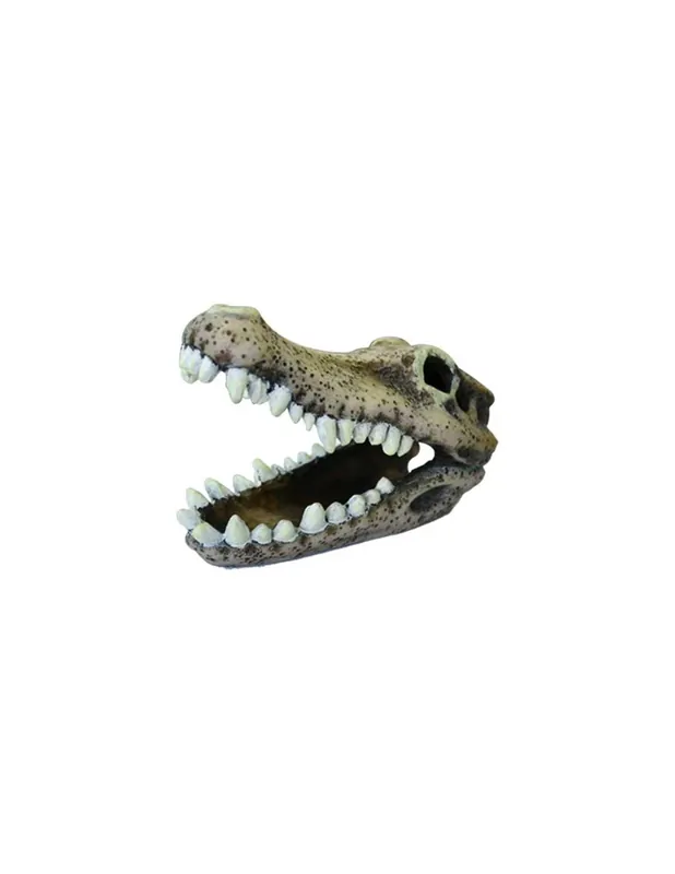 Legkelendőbb KROKODIL KOPONYA akvárium dekoráció - U778 (11cm hosszú)