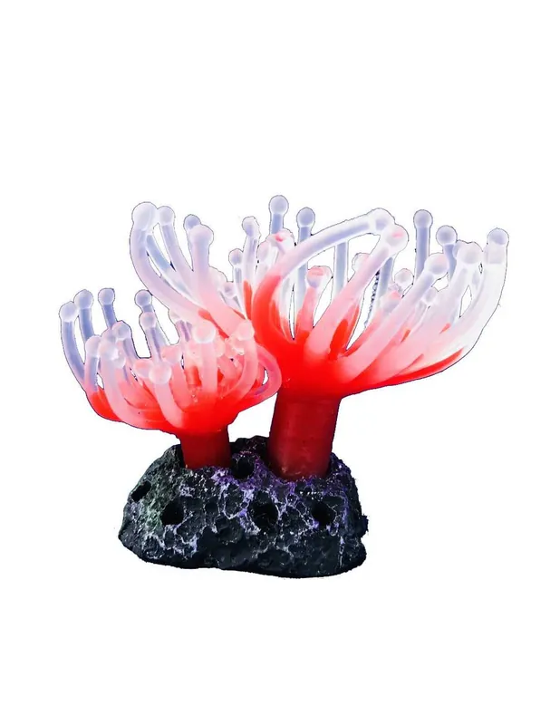 Legkelendőbb TENGERI RÓZSA akvárium dekoráció - 37345 Natural Color (7cm)