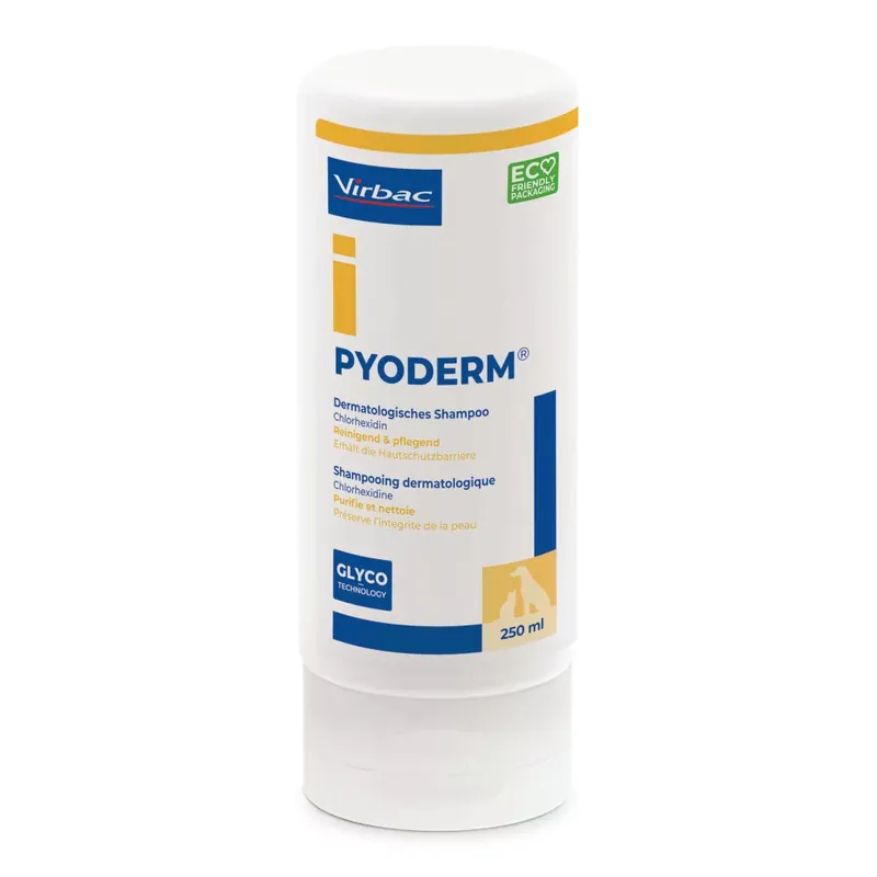 Vedd meg most Pyoderm sampon 200 ml