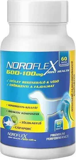 Akció Noroflex 600 + 100 mg rágótabletta 60 db