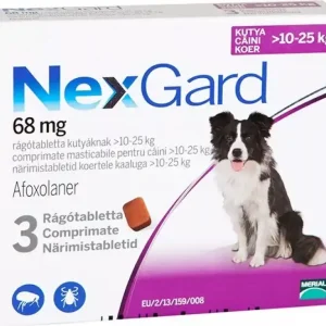 NexGard rágótabletta 10-25 kg 3 db Vedd meg most