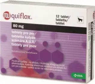 Expressz szállítás Quiflox 80 mg tabletta 12 db