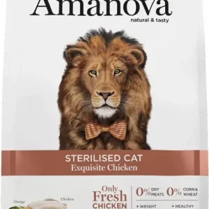 Népszerű AmaNova Cat LG Adult Exquisite Chicken & Quinoa 6 kg