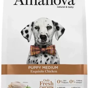 Kiárusítás AmaNova Dog LG Medium Puppy Exquisite Chicken & Quinoa 10 kg