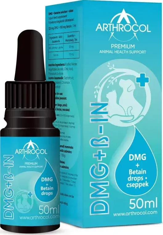 Arthrocol DMG betaine oldat 50 ml Ajánlat