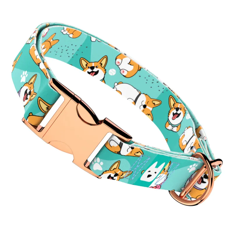 Pembroke Welsh Corgi, kék - Kutya Nyakörv - april & june Biztonságos fizetés