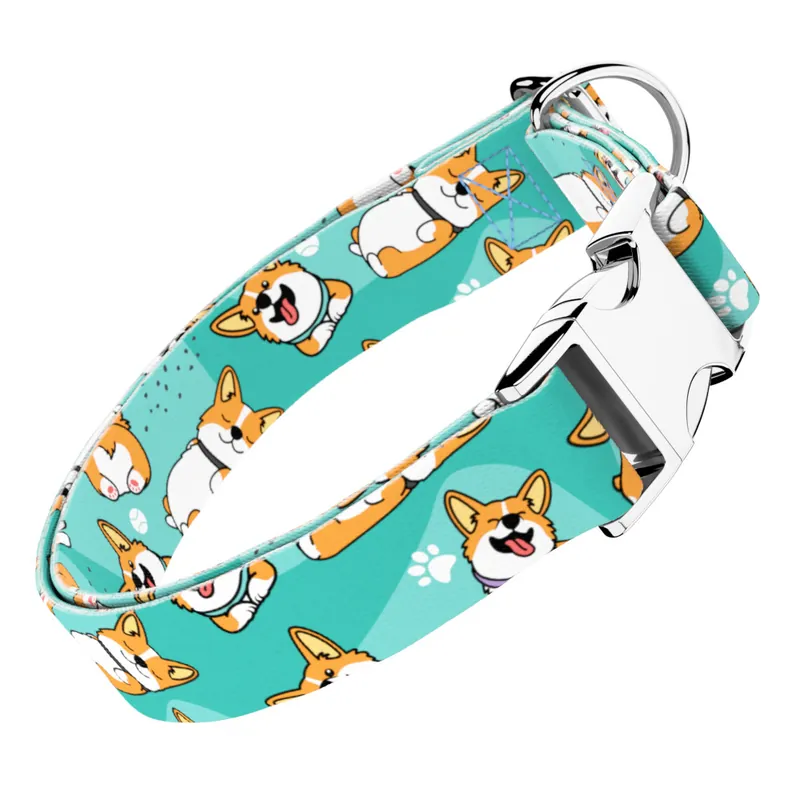 Népszerű Pembroke Welsh Corgi, kék - Kutya Nyakörv - april & june