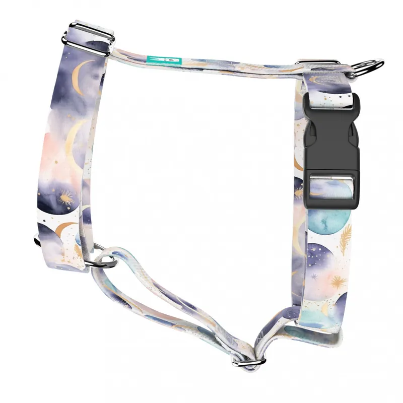 Pasztell galaxis - Kutyahám és Macskahám - Pastell Galaxy - april & june Vedd meg online