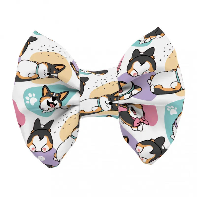 Vásárlói kedvenc Pembroke Welsh Corgi, tricolor - Kutya csokornyakkendő - Pembroke Welsh Corgi, tricolor - april & june