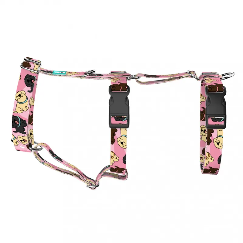 Legnépszerűbb Labrador retriever, rózsaszín - Biztonsági Kutyahám és Macskahám - pink - april & june