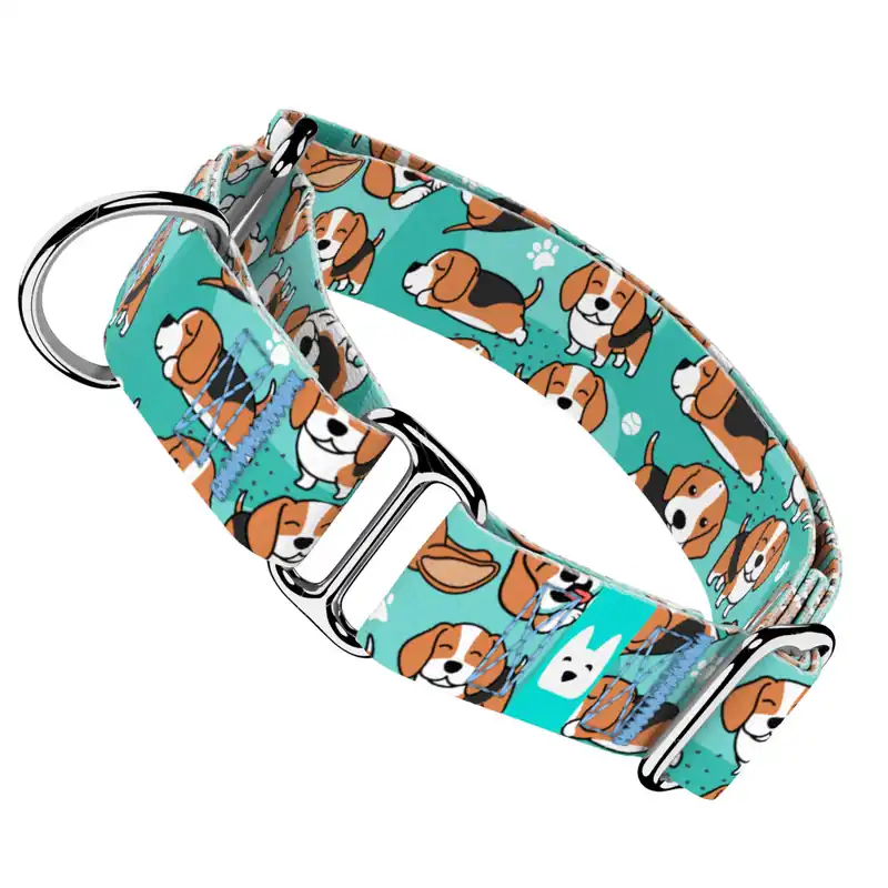 Legkelendőbb Beagle, kék - Kutya Félfojtó Nyakörv - april & june