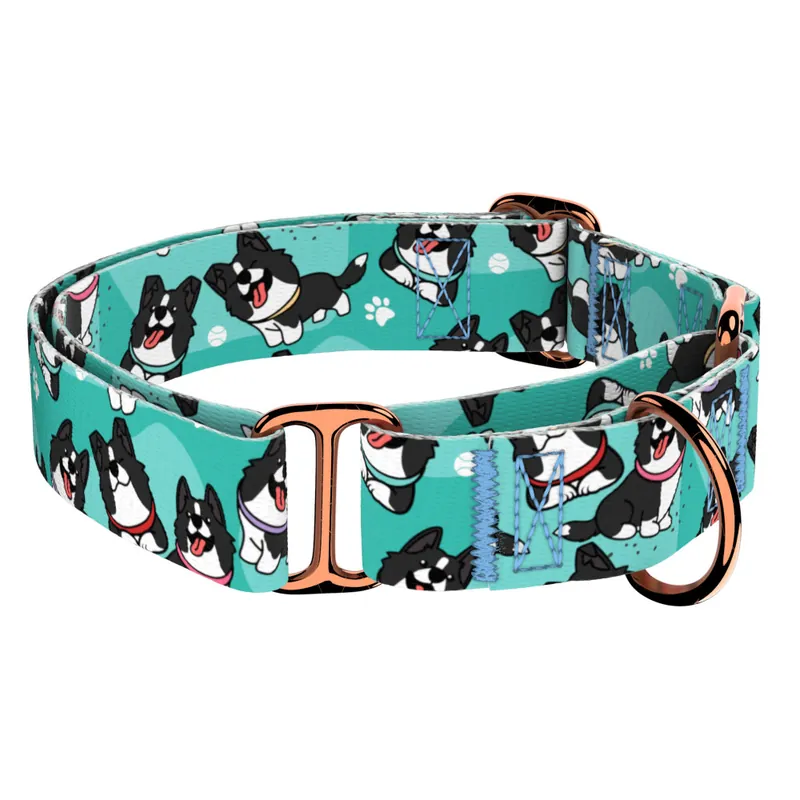 Border Collie, kék - Kutya Félfojtó Nyakörv - april & june Outlet